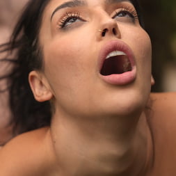 Vanessa's Anal Appeal