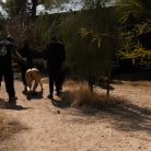 Vanessa Vega in 'El Rancho Slut Fuck: Vanessa Vega's Holes Slaughtered By Cock'