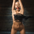 Vanna Bardot in 'Fresh Meat: Vanna Bardot'