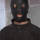 Veronica Avluv in 'The Training of a Nympho Anal MILF, Day Three'