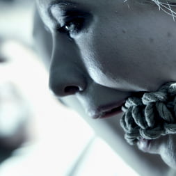 DECEPTION plus Bonus Material A Fantasy Feature