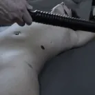 Victoria Voxxx in 'Diary of a Madman, Episode 4: 'Problem Solved''