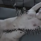 Victoria Voxxx in 'Diary of a Madman, Episode 4: 'Problem Solved''