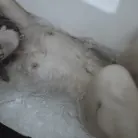 Victoria Voxxx in 'Diary of a Madman, Episode 4: 'Problem Solved''