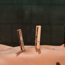 The Pain Game