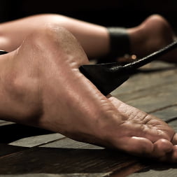 Twisted, Bent, and Tormented