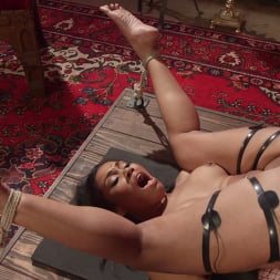 Horny Slut Begs For Multi-Orgasmic Electro Fucking