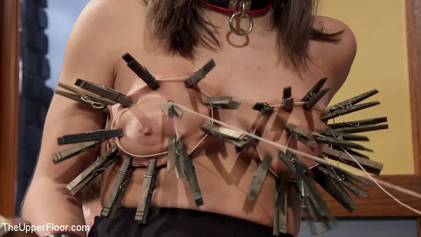 Zoe Parker - La violación anal de Abella por los errores de New Meat | Picture (5)