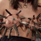 Zoe Parker in 'Abella's Anal Violation for New Meat's Mistakes'